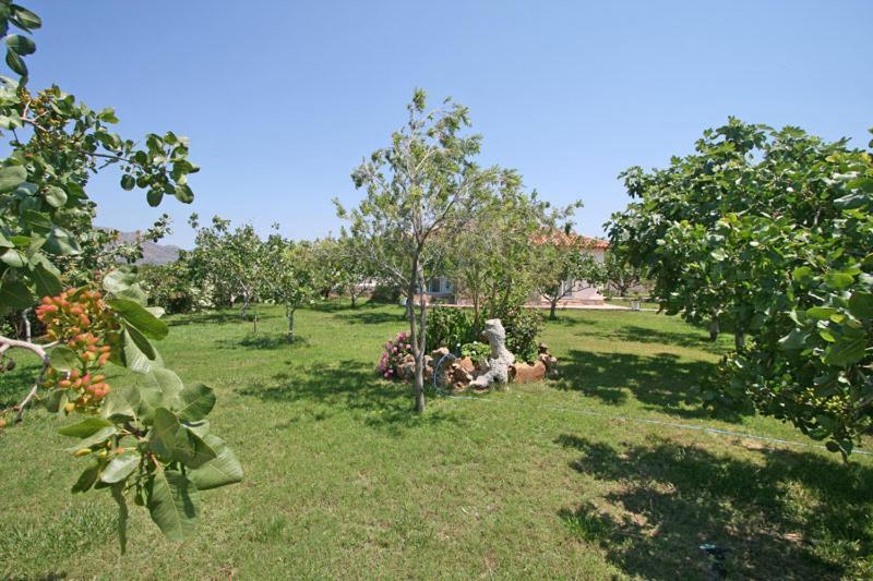Villa Eleana Chania  Buitenkant foto