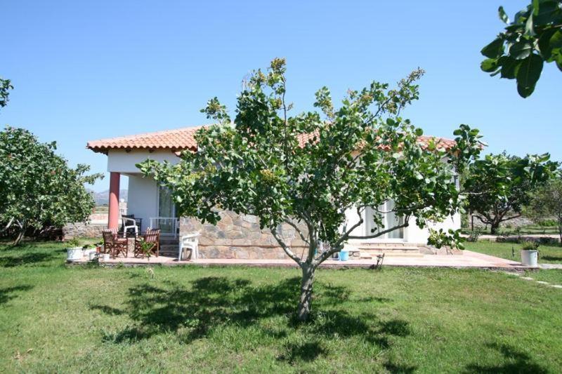 Villa Eleana Chania  Buitenkant foto