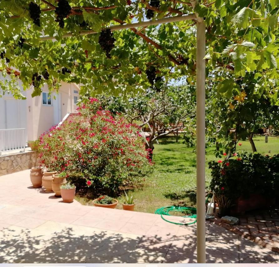 Villa Eleana Chania  Buitenkant foto
